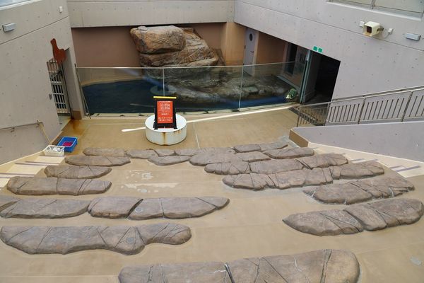 ▲▼男鹿水族館GAO。（圖／部落客viviyu授權提供）