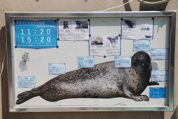 ▲▼男鹿水族館GAO。（圖／部落客viviyu授權提供）