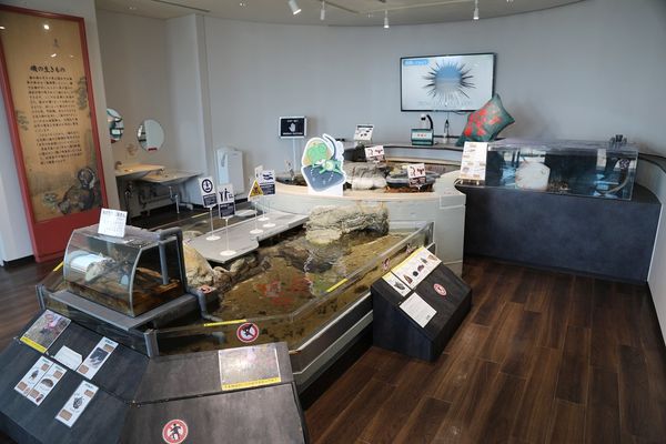 ▲▼男鹿水族館GAO。（圖／部落客viviyu授權提供）