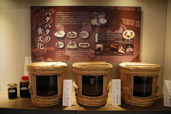 ▲▼男鹿水族館GAO。（圖／部落客viviyu授權提供）