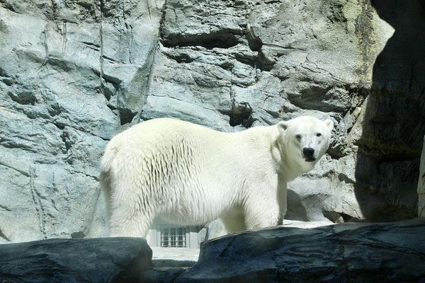 ▲▼男鹿水族館GAO。（圖／部落客viviyu授權提供）