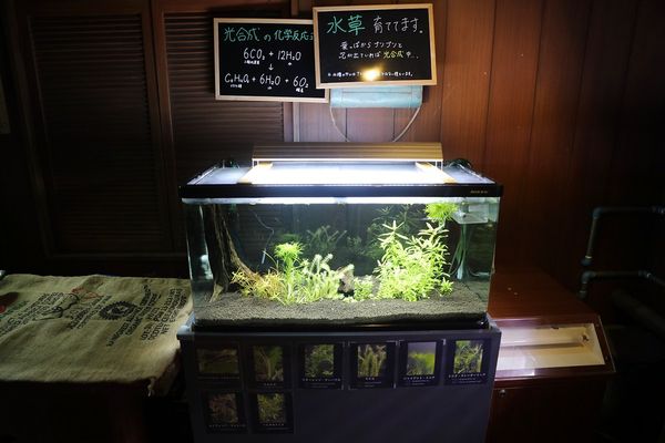 ▲▼男鹿水族館GAO。（圖／部落客viviyu授權提供）