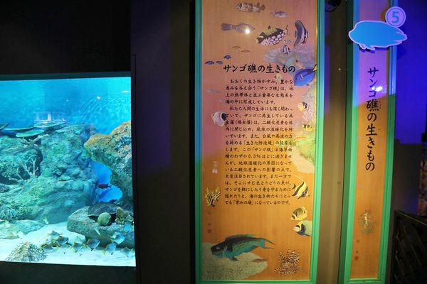 ▲▼男鹿水族館GAO。（圖／部落客viviyu授權提供）