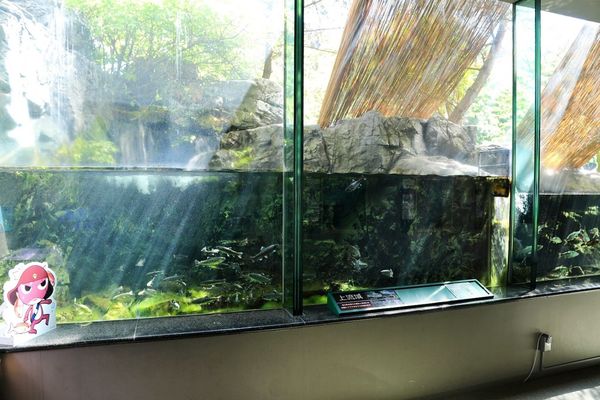 ▲▼男鹿水族館GAO。（圖／部落客viviyu授權提供）