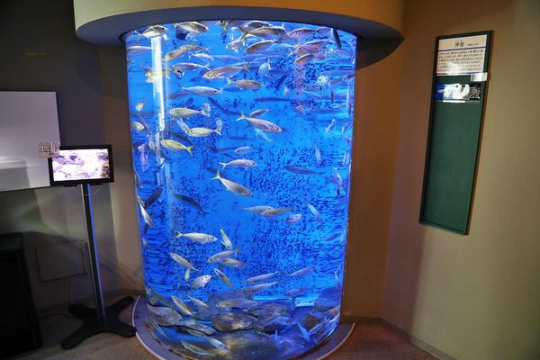 ▲▼男鹿水族館GAO。（圖／部落客viviyu授權提供）