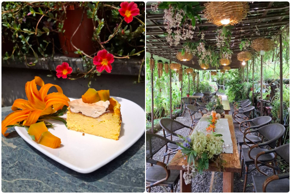 ▲曹家花田香金針花8/8花況。（圖／曹家花田香提供）