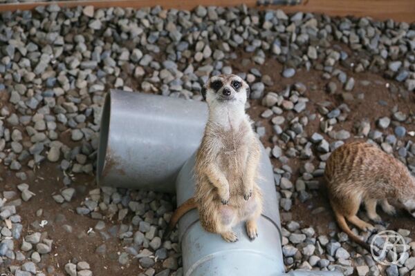 ▲▼新月塢溫泉。（圖／部落客JJ.Hsu授權提供）