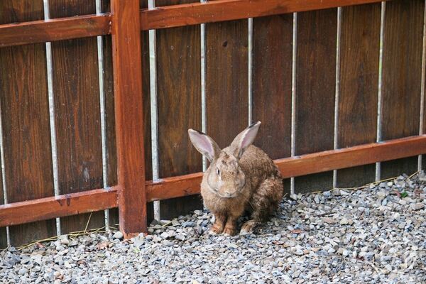 ▲▼新月塢溫泉。（圖／部落客JJ.Hsu授權提供）