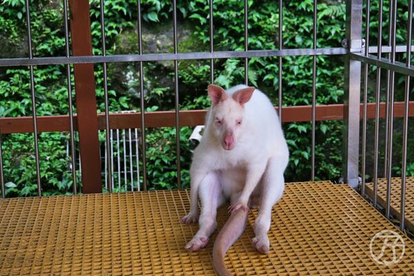 ▲▼新月塢溫泉。（圖／部落客JJ.Hsu授權提供）