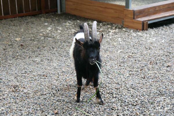 ▲▼新月塢溫泉。（圖／部落客JJ.Hsu授權提供）