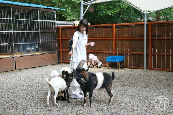 ▲▼新月塢溫泉。（圖／部落客JJ.Hsu授權提供）