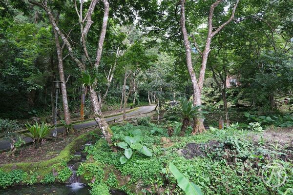 ▲▼新月塢溫泉。（圖／部落客JJ.Hsu授權提供）