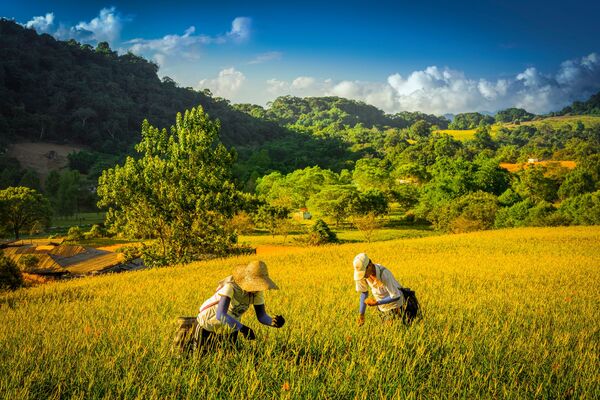 ▲▼花蓮玉里赤科山。（圖／花蓮縣政府提供，鄭惠霙攝影）