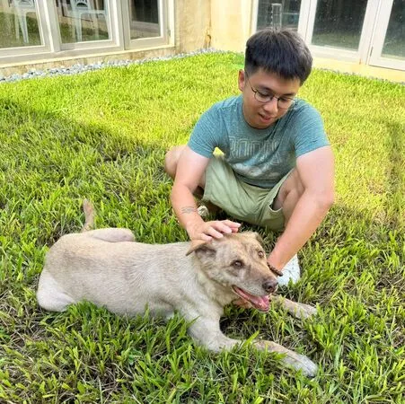 棕棕（圖／翻攝自臉書新竹市北區劉康彥（小白）、新竹市政府提供）