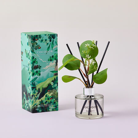 ▲COCODOR 2025夏日香氣森林與海洋擴香瓶。（圖／品牌提供）