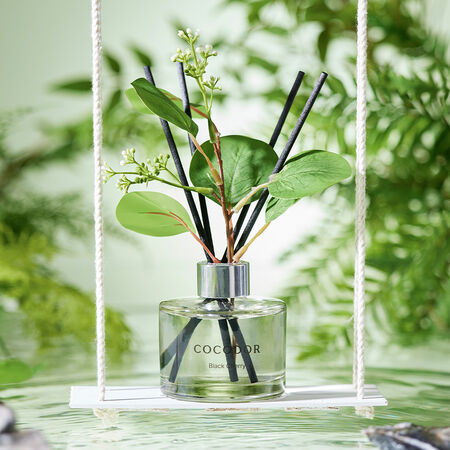 ▲COCODOR 2025夏日香氣森林與海洋擴香瓶。（圖／品牌提供）