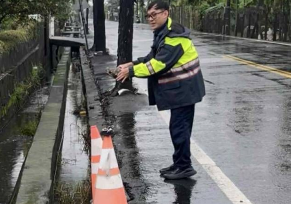 ▲潮州警分局竹田所警員劉家豪助陸龜過馬路。（圖／記者陳崑福翻攝）