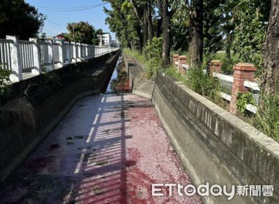 高雄圳溝變紅色！死魚漂浮狂飄腐臭味　血流成河超噁畫面曝