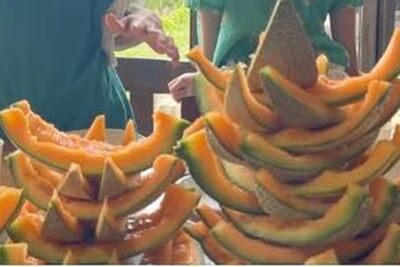 遊北海道爽嗑哈密瓜!「吃法慘被罵」插畫家彎彎道歉了