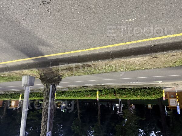 ▲▼高雄凌晨死亡車禍。（圖／記者吳奕靖攝）