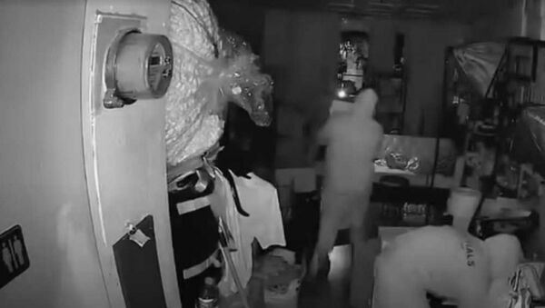 美国洛杉矶发生一起盗窃事件,有4名小偷闯入一间潮玩店,翻箱倒柜后带走全部LABUBU玩偶。 (图/翻摄自X)