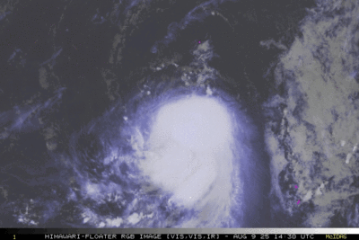 楊柳侵襲率增至62% 防2天強風豪雨