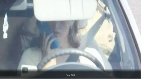 ▲▼             。（翻攝自Omroep Brabant）