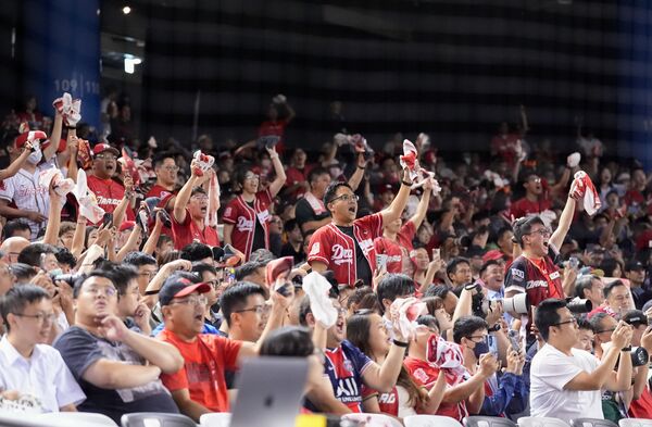 ▲搶票熱潮！林智勝引退系列賽　會員優先購票掀瘋搶風潮。（圖／味全龍提供）