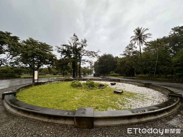 ▲台南山上花園水道博物館雨後中央圓環被山苦瓜迅速攀爬覆蓋，蔚為奇觀。（記者林東良翻攝，下同）