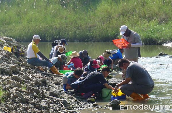 ▲連日豪雨讓菜寮溪水位暴漲，溪床部分地形改變，落差超過3公尺。（台南左鎮化石園區提供）