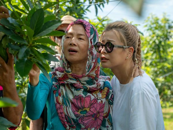 ▲李燕久違回歸螢光幕，參與實境秀《花甲少年趣旅行》錄製。（圖／KOCSKIN克麗詩黛提供）