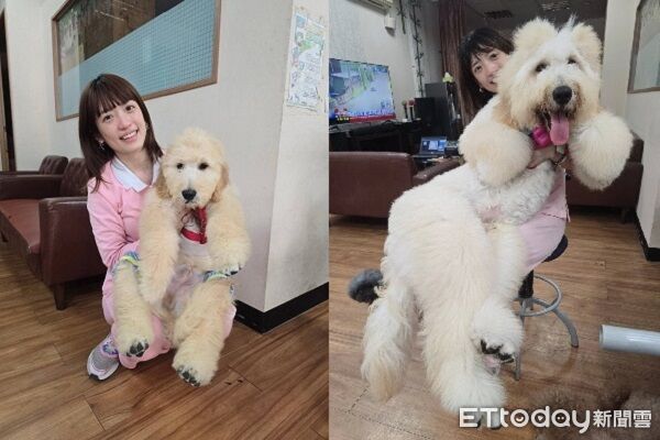 ▲。（圖／有點毛毛的／Mudi這一家提供）