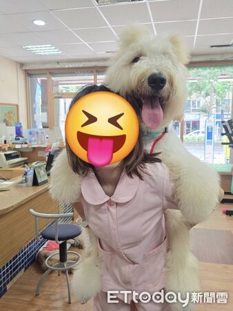 ▲。（圖／有點毛毛的／Mudi這一家提供）