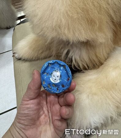 ▲。（圖／有點毛毛的／Mudi這一家提供）