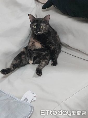 ▲。（圖／Threads@99hama_2992提供，請勿隨意翻拍，以免侵權。）