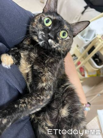 ▲。（圖／Threads@99hama_2992提供，請勿隨意翻拍，以免侵權。）