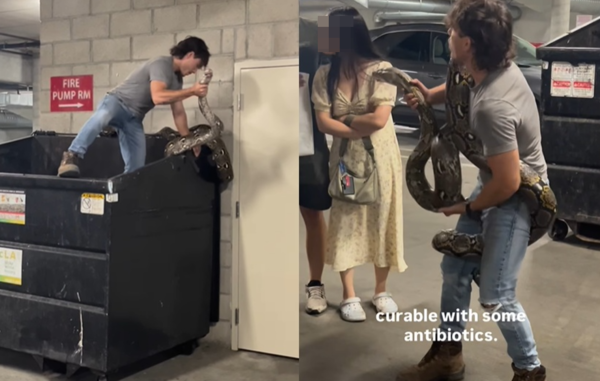 以為是玩具　女發現垃圾箱爬出「6公尺巨蟒」捕蛇專家徒手捕獲。（圖／翻攝自Instagram／reptile.hunter）