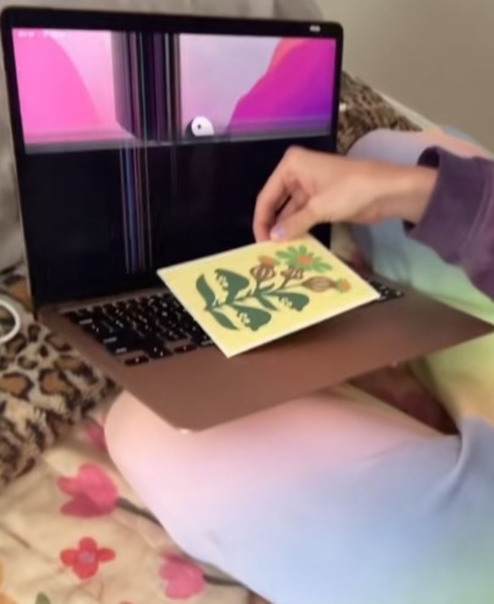 這超薄1張竟成「筆電終結者」　女網紅MacBook螢幕一開超慘！網酸：蒼蠅停也壞