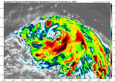 首當其衝！　2地防楊柳「破壞性強風」