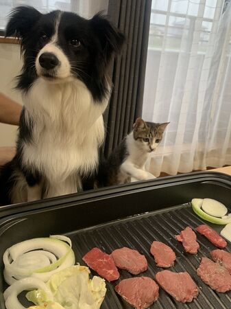 ▲。（圖／翻攝自X／@HTMSLIFE）