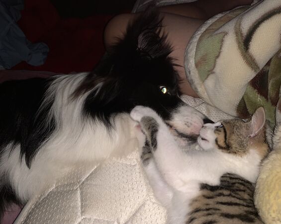 ▲。（圖／翻攝自X／@HTMSLIFE）