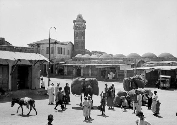 半島電視台加薩記者夏立夫在前線長期報導戰況，最終命喪空襲。（翻攝自X）