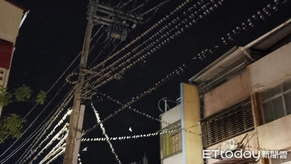 ▲▼豪雨後奇景！上萬燕子停滿旗山老街電線　居民驚：沒看過那麼多隻。（圖／大德里里長曾慶義提供）