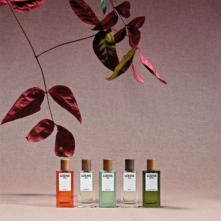 ▲▼香水。（圖／品牌提供）