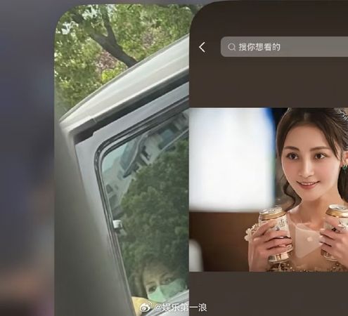 ▲▼文章豪車載正妹被目擊　「眉眼酷似姚笛」再掀11年前出軌情。（圖／翻攝自微博）