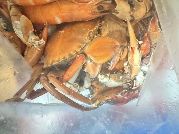 ▲▼清蒸變水煮！ 「代客料理」毀2千元螃蟹　民眾怒轟亂煮、坐地起價。（圖／翻攝自爆料公社公開版）