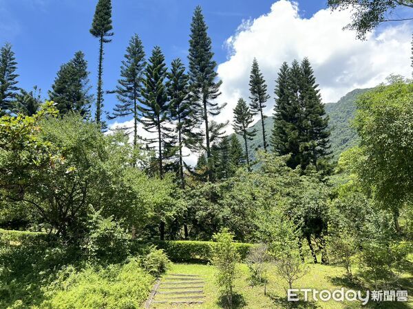 ▲▼花蓮分署表示，受楊柳颱風影響，轄內包括大農大富平地森林園區等育樂場域均預警性封閉休館。（圖／花蓮分署提供，下同）