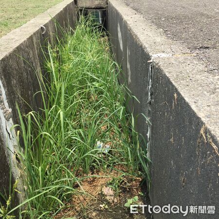 ▲即時清除雜草、殘枝或落果，避免阻塞排水。（圖／高雄區農改場提供）