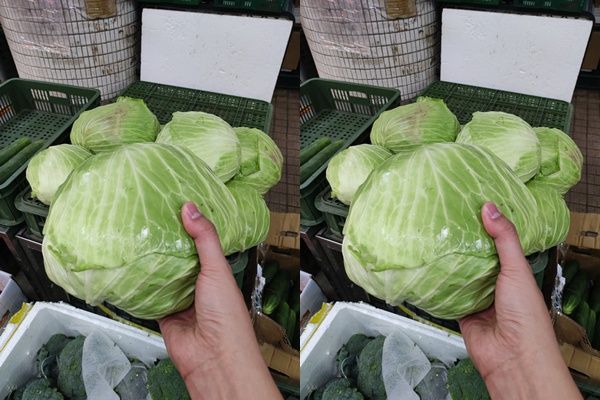 ▲他勸今天最好買兩顆高麗菜回家。（圖／翻攝自臉書／廖炯程）