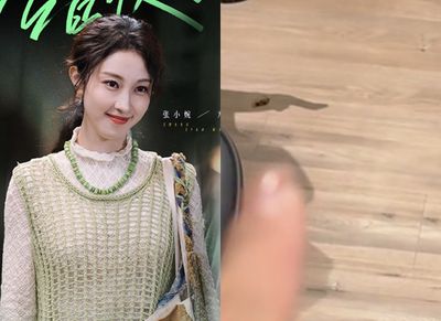 快遞紙箱藏蟑螂卵？女星家中不下廚「驚見巨型蟑螂入侵」　專家證實了